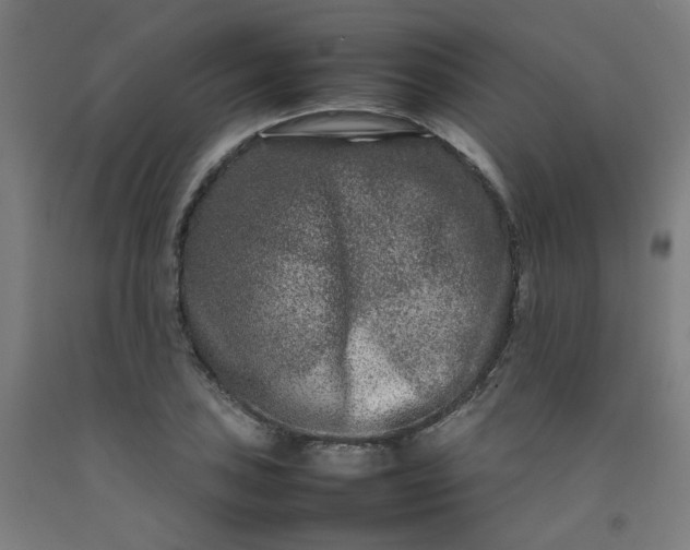 X0000092231027200709281100