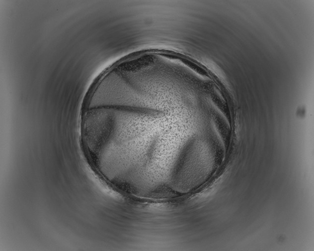 X0000092231028200709281100