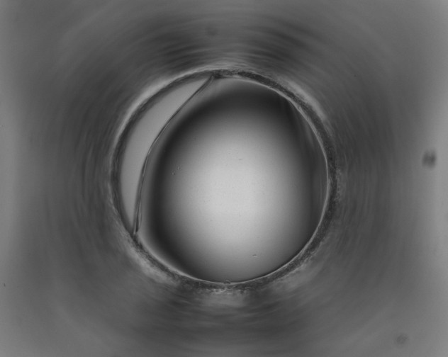 X0000092231029200709281100