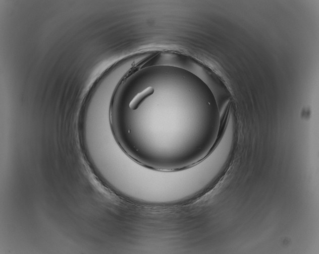 X0000092231030200709281100