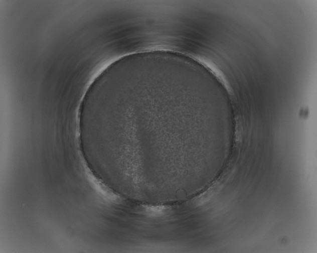 X0000092231031200709281100