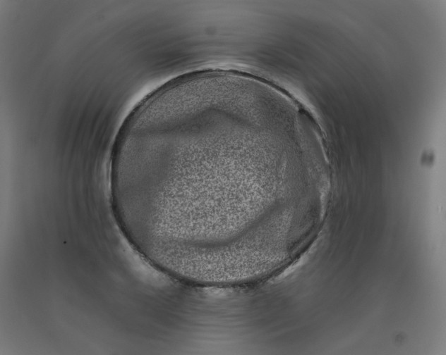 X0000092231032200709281100