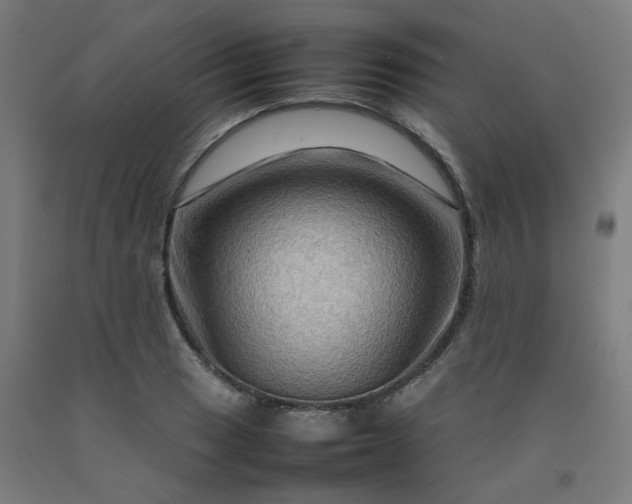 X0000092231033200709281100
