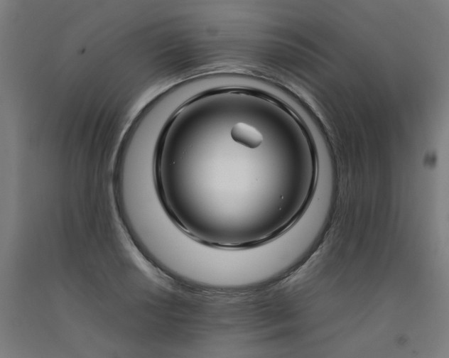 X0000092231034200709281100
