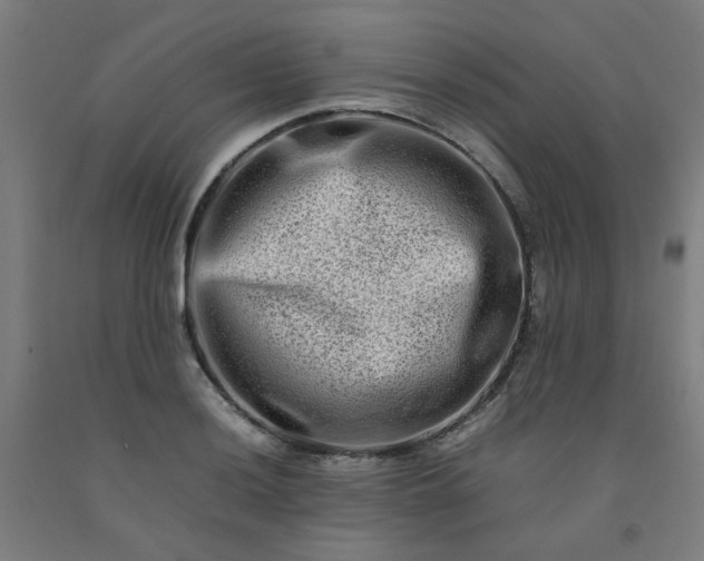X0000092231036200709281100