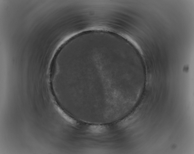 X0000092231037200709281100