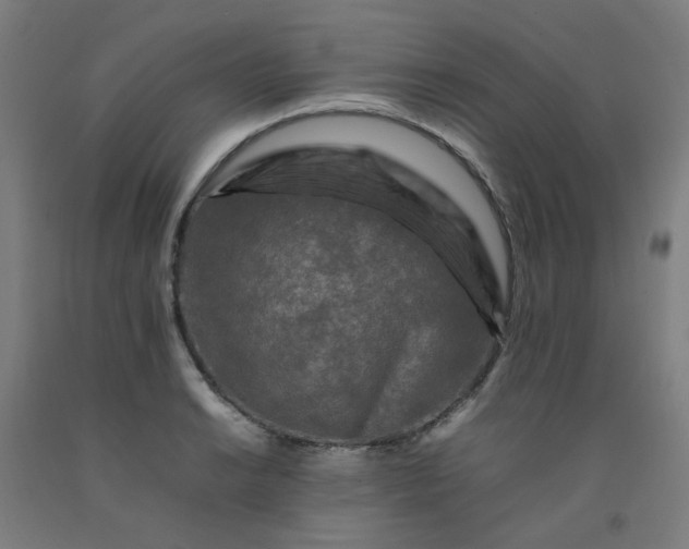X0000092231038200709281100