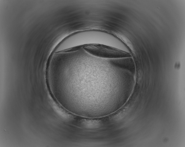 X0000092231039200709281100
