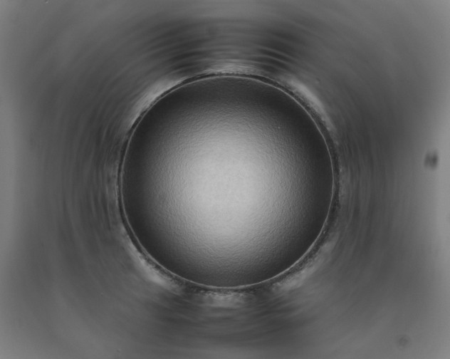 X0000092231041200709281100