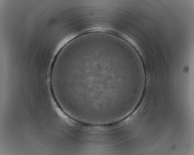 X0000092231042200709281100