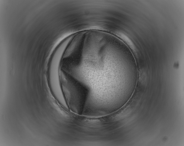 X0000092231043200709281100