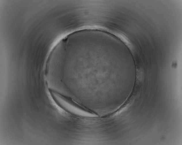 X0000092231046200709281100