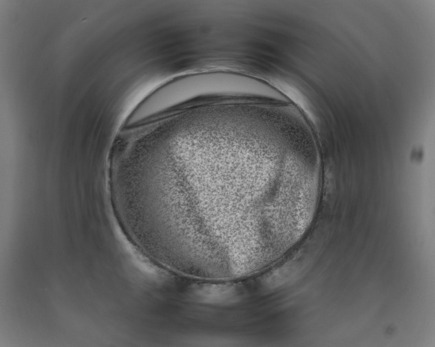 X0000092231047200709281100