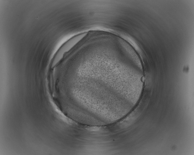 X0000092231048200709281100