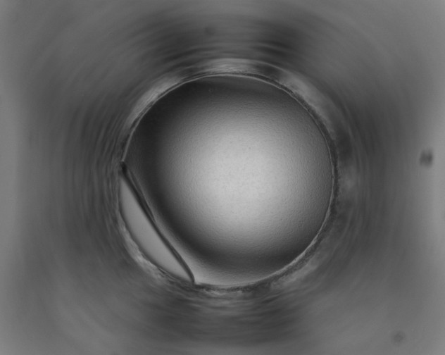 X0000092231049200709281100