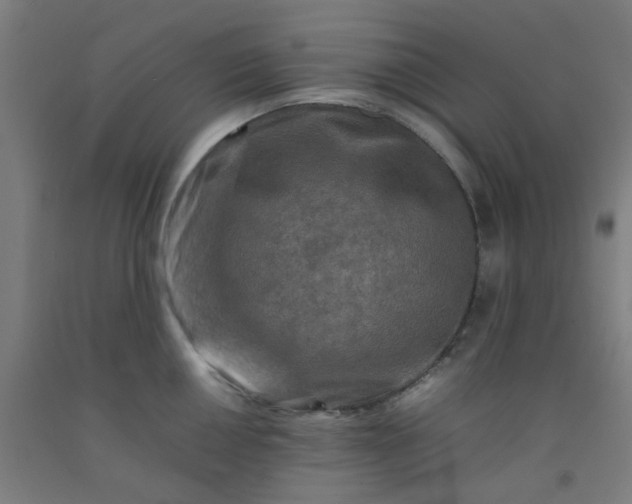 X0000092231050200709281100