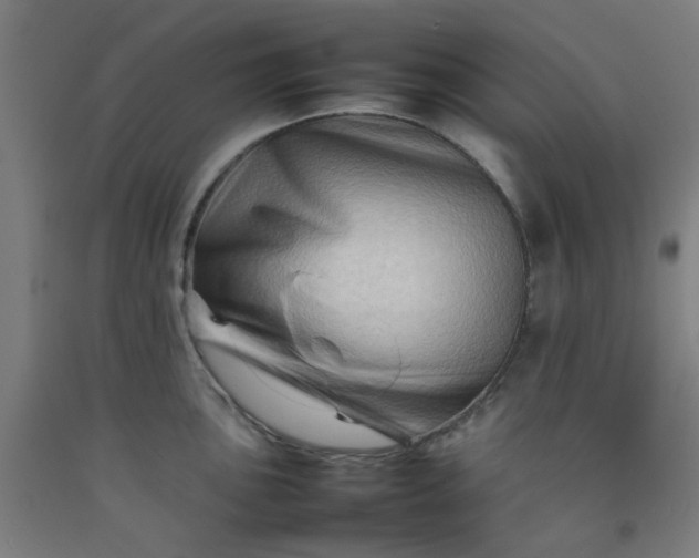 X0000092231051200709281100