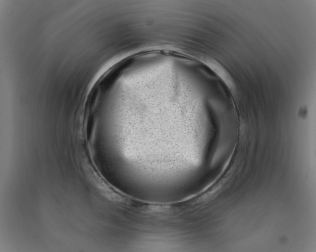 X0000092231052200709281100