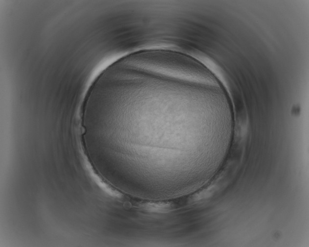 X0000092231053200709281100