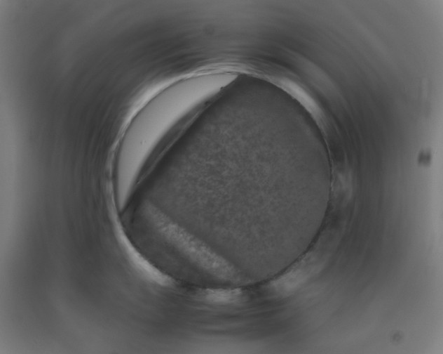 X0000092231055200709281100