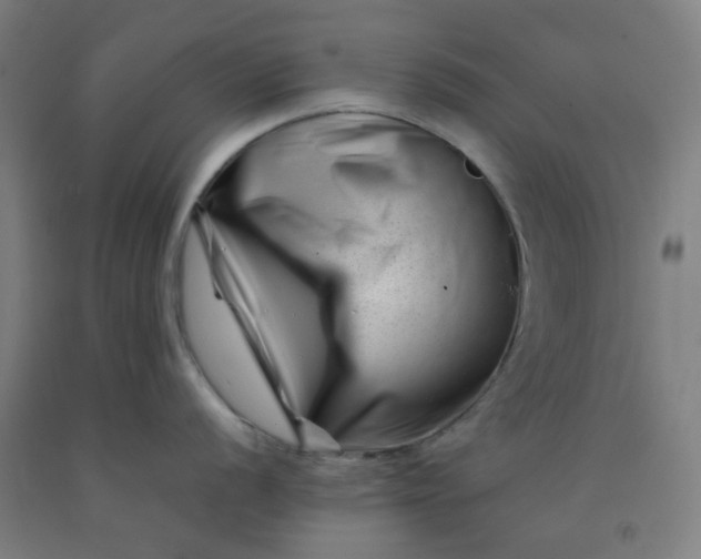 X0000092231056200709281100