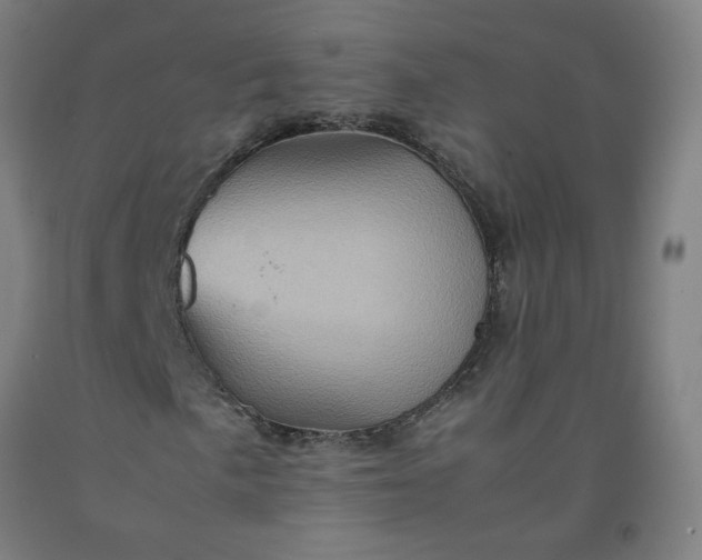 X0000092231057200709281059