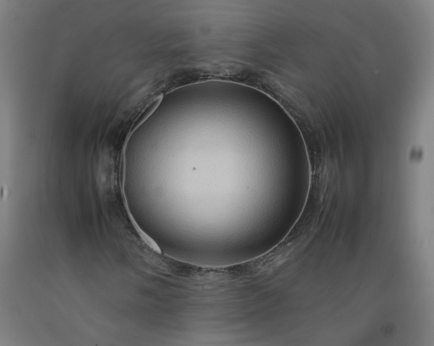 X0000092231058200709281059