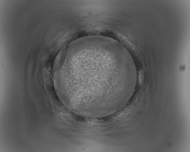 X0000092231059200709281059
