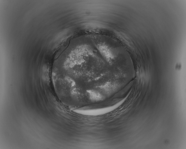 X0000092231060200709281059