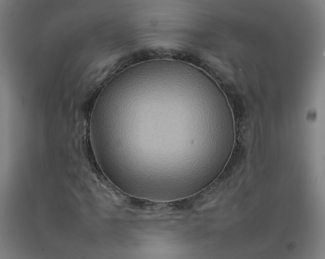 X0000092231061200709281059