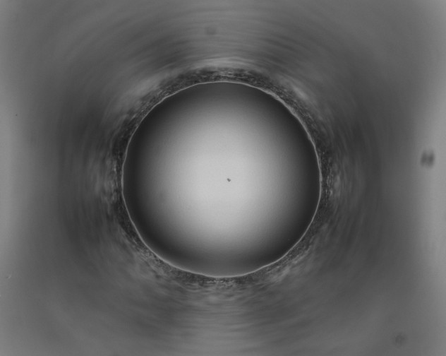 X0000092231062200709281059