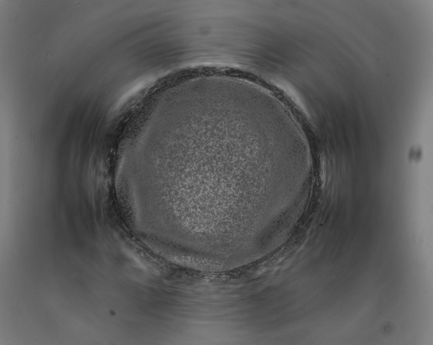 X0000092231064200709281059