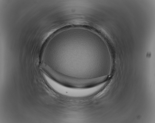 X0000092231065200709281059
