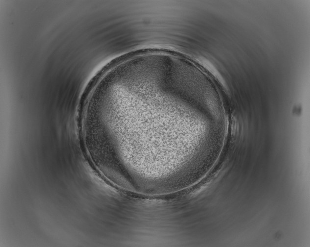 X0000092231068200709281059