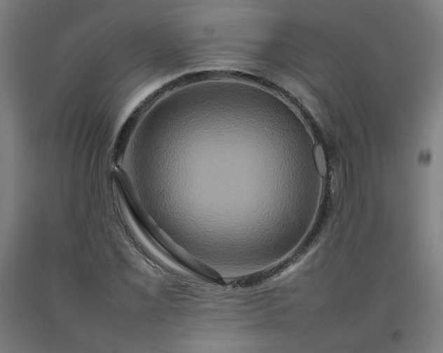X0000092231069200709281059