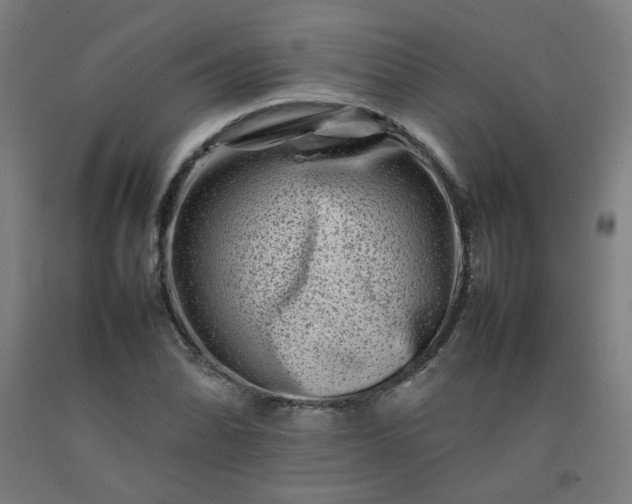 X0000092231070200709281059