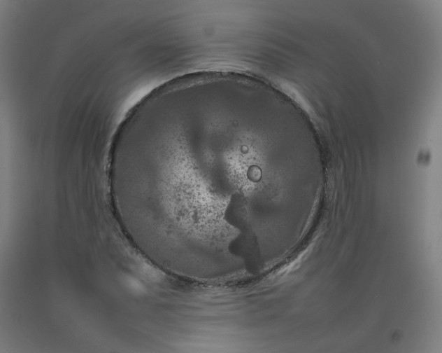 X0000092231071200709281059