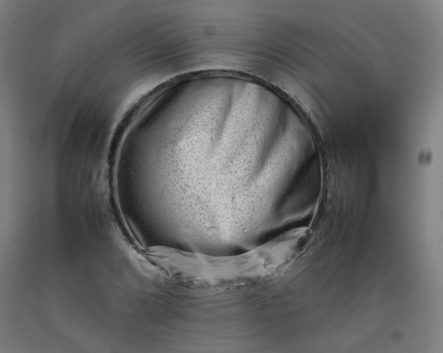 X0000092231072200709281059