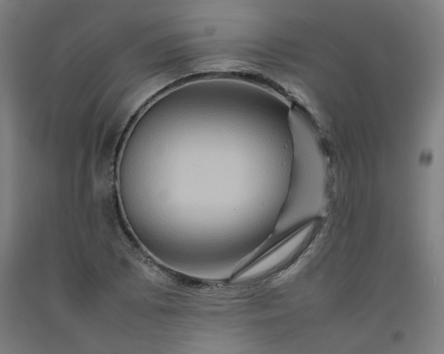 X0000092231073200709281059