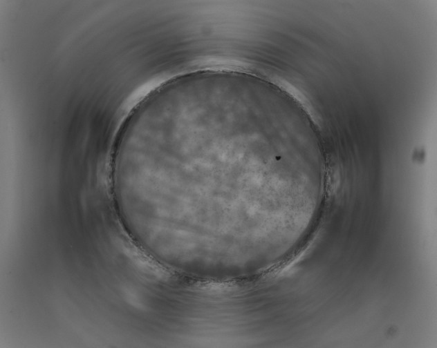 X0000092231074200709281059