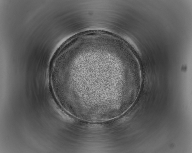 X0000092231076200709281059