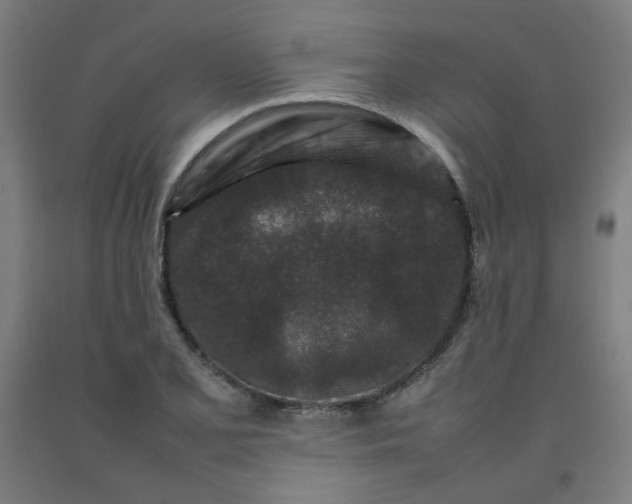 X0000092231077200709281059