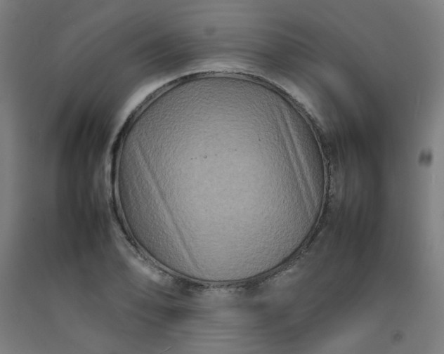 X0000092231078200709281059