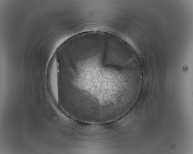 X0000092231079200709281059
