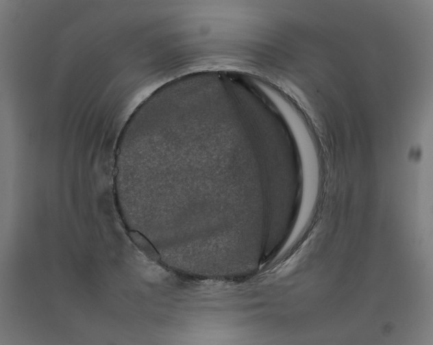 X0000092231081200709281059