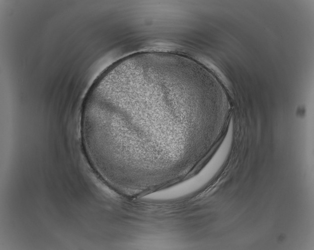 X0000092231083200709281059
