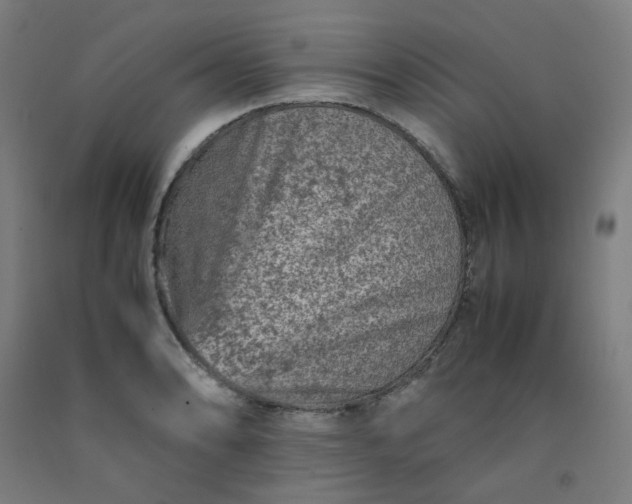 X0000092231086200709281059