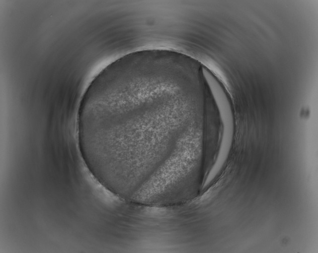 X0000092231088200709281059