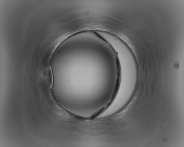 X0000092231089200709281059