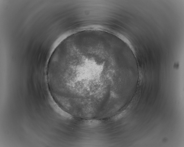 X0000092231090200709281059